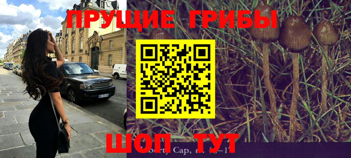 Жуковский  Галлюциногенные грибы Psilocybine cubensis  Вход с VPN 