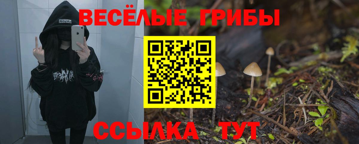 Псилоцибиновые грибы прущие грибы Жуковский